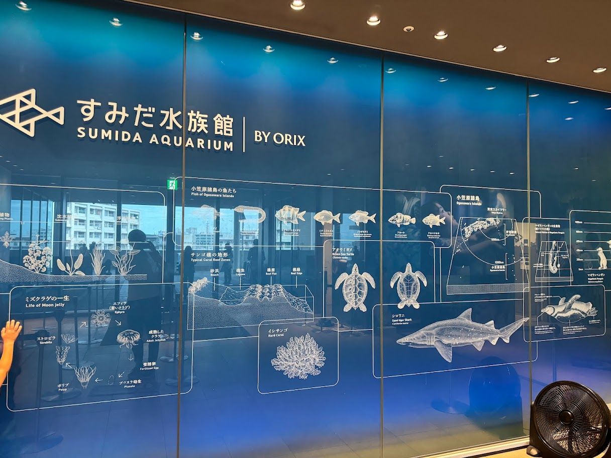 sumida