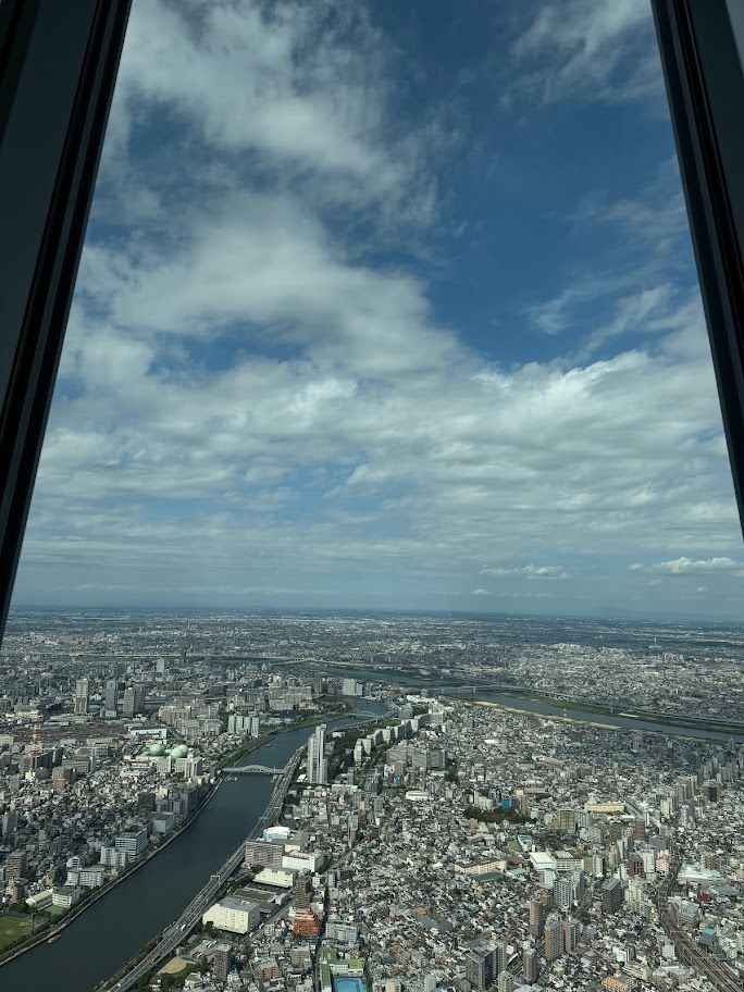 view